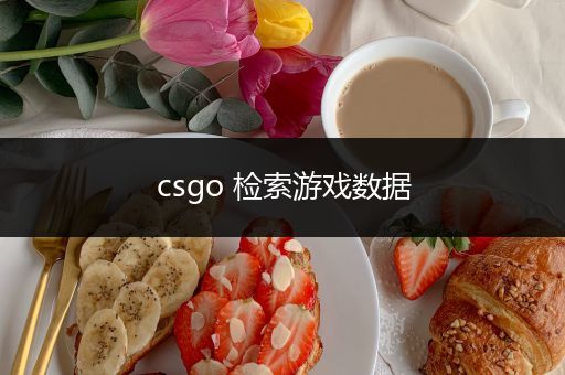 csgo 检索游戏数据