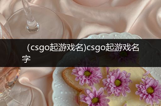 （csgo起游戏名)csgo起游戏名字