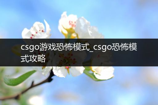 csgo游戏恐怖模式_csgo恐怖模式攻略