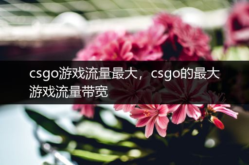 csgo游戏流量最大，csgo的最大游戏流量带宽