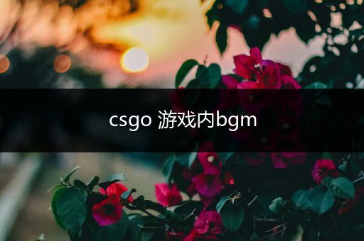 csgo 游戏内bgm