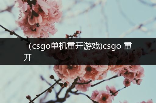 （csgo单机重开游戏)csgo 重开