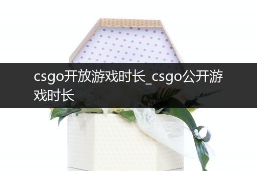 csgo开放游戏时长_csgo公开游戏时长