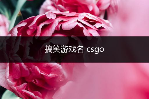 搞笑游戏名 csgo