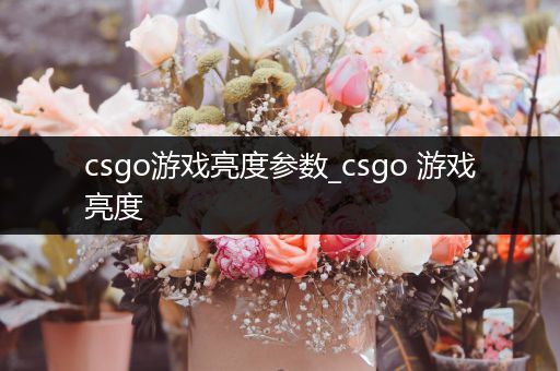 csgo游戏亮度参数_csgo 游戏亮度