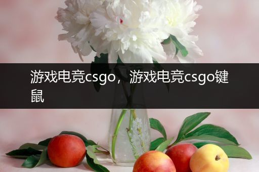 游戏电竞csgo，游戏电竞csgo键鼠