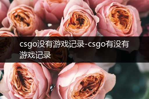 csgo没有游戏记录-csgo有没有游戏记录