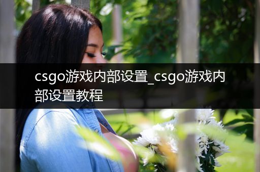 csgo游戏内部设置_csgo游戏内部设置教程