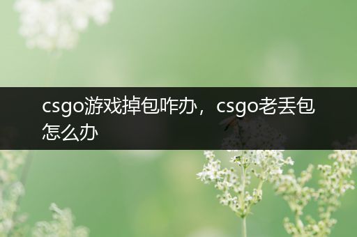 csgo游戏掉包咋办，csgo老丢包怎么办