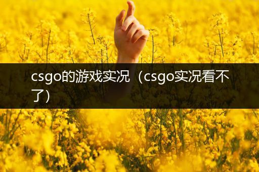 csgo的游戏实况（csgo实况看不了）