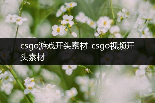 csgo游戏开头素材-csgo视频开头素材