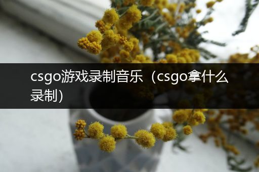 csgo游戏录制音乐（csgo拿什么录制）