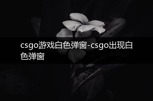 csgo游戏白色弹窗-csgo出现白色弹窗