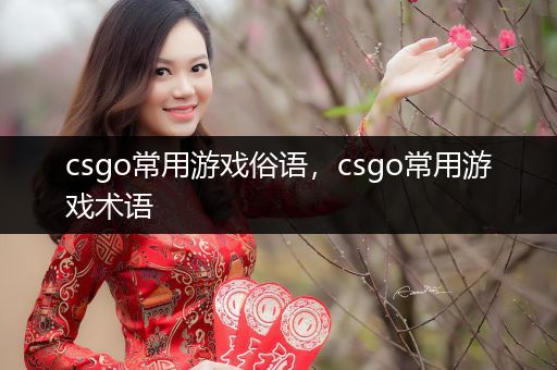 csgo常用游戏俗语，csgo常用游戏术语