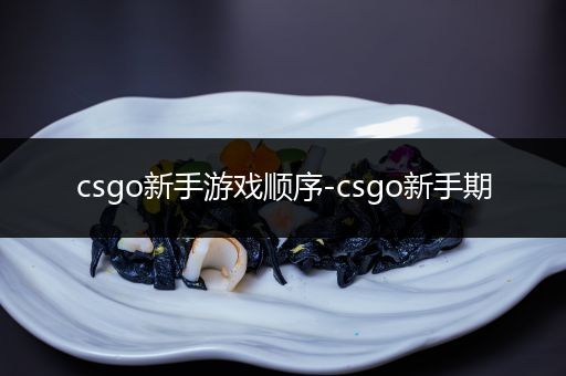 csgo新手游戏顺序-csgo新手期