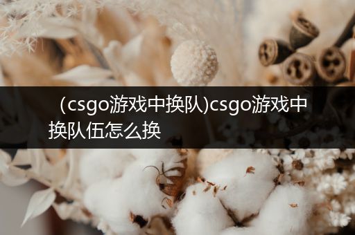 （csgo游戏中换队)csgo游戏中换队伍怎么换