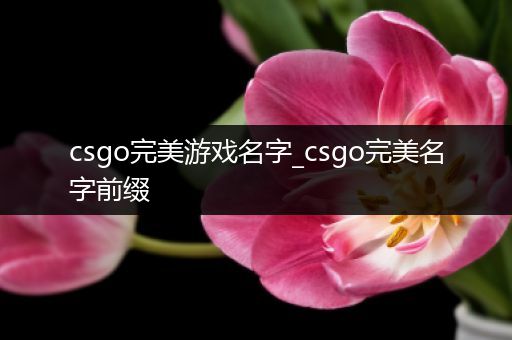 csgo完美游戏名字_csgo完美名字前缀