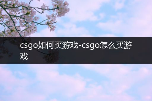 csgo如何买游戏-csgo怎么买游戏