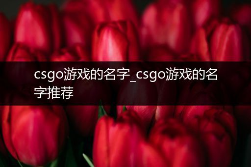 csgo游戏的名字_csgo游戏的名字推荐