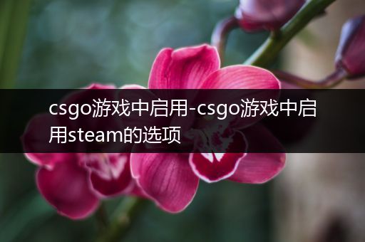 csgo游戏中启用-csgo游戏中启用steam的选项