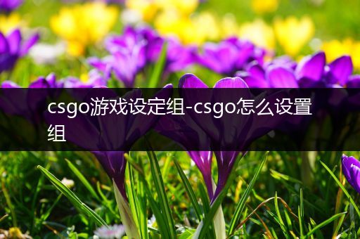 csgo游戏设定组-csgo怎么设置组