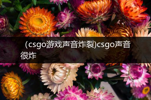 （csgo游戏声音炸裂)csgo声音很炸