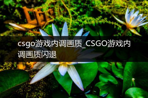 csgo游戏内调画质_CSGO游戏内调画质闪退