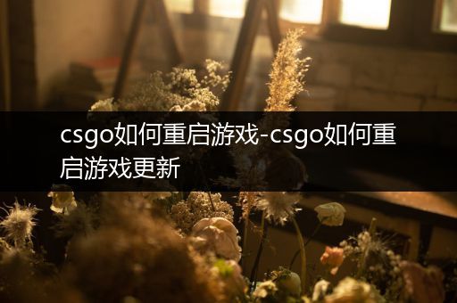 csgo如何重启游戏-csgo如何重启游戏更新