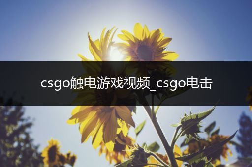 csgo触电游戏视频_csgo电击