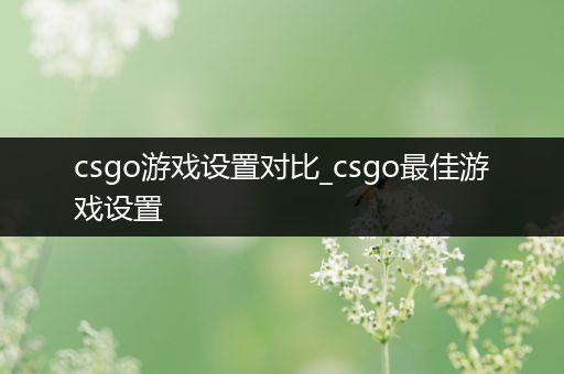 csgo游戏设置对比_csgo最佳游戏设置