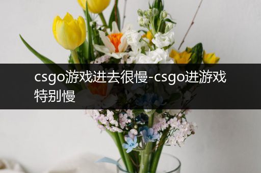 csgo游戏进去很慢-csgo进游戏特别慢