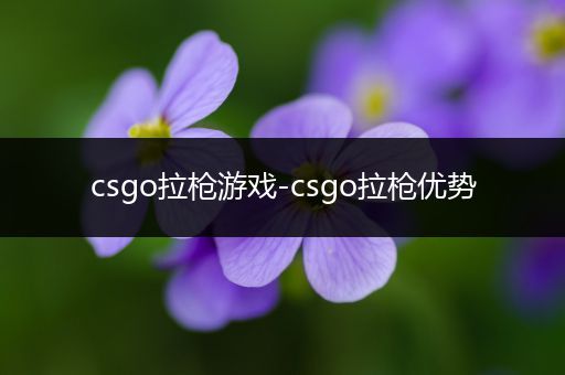 csgo拉枪游戏-csgo拉枪优势