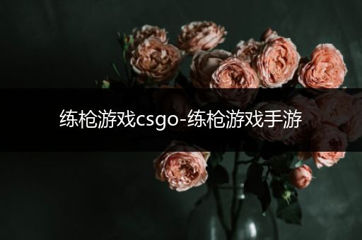 练枪游戏csgo-练枪游戏手游