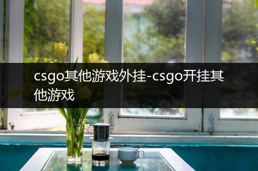 csgo其他游戏外挂-csgo开挂其他游戏