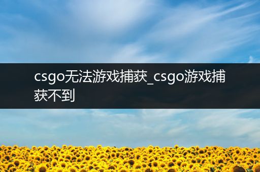 csgo无法游戏捕获_csgo游戏捕获不到