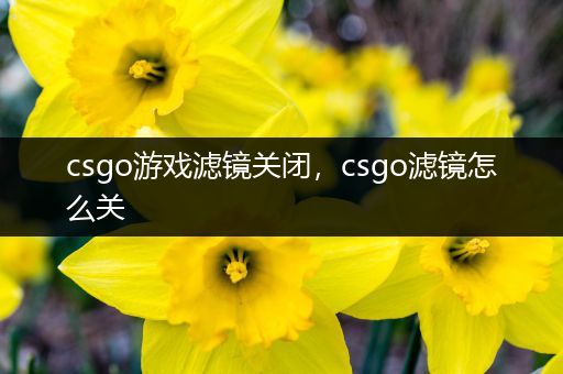csgo游戏滤镜关闭，csgo滤镜怎么关