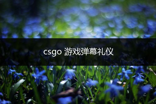 csgo 游戏弹幕礼仪