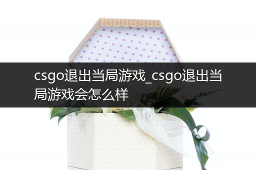 csgo退出当局游戏_csgo退出当局游戏会怎么样