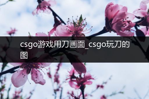 csgo游戏用刀画面_csgo玩刀的图