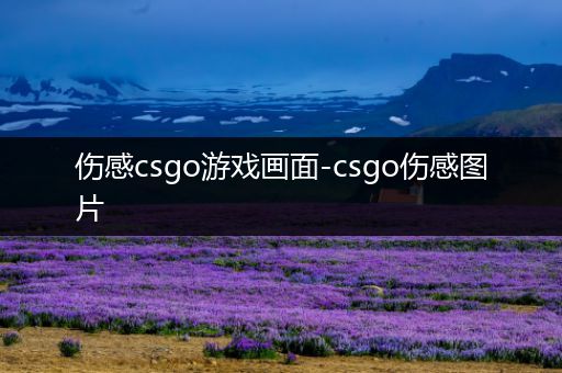 伤感csgo游戏画面-csgo伤感图片