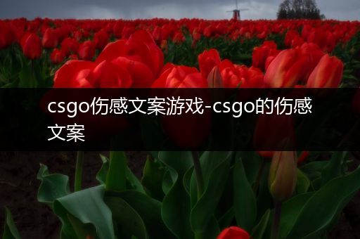 csgo伤感文案游戏-csgo的伤感文案