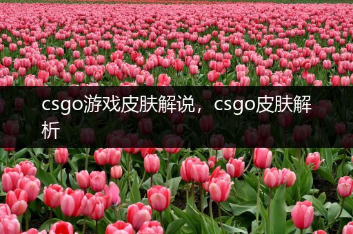 csgo游戏皮肤解说，csgo皮肤解析