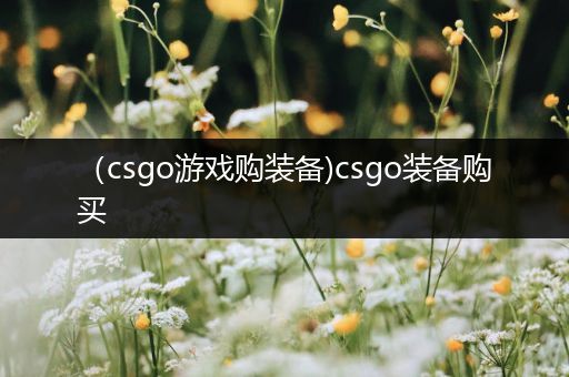 （csgo游戏购装备)csgo装备购买