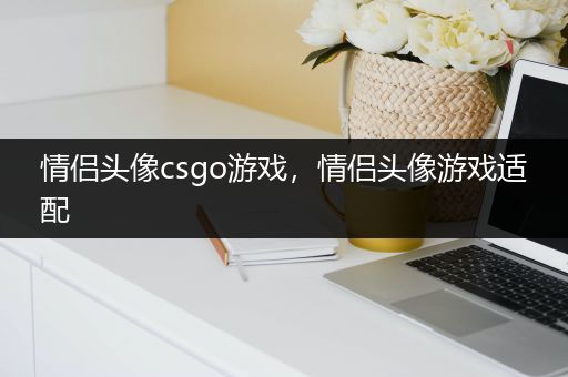 情侣头像csgo游戏，情侣头像游戏适配