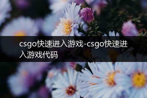 csgo快速进入游戏-csgo快速进入游戏代码