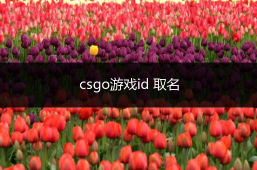 csgo游戏id 取名