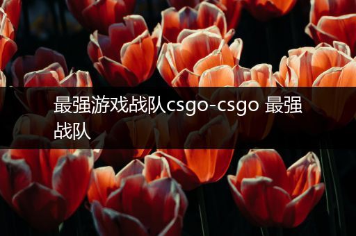 最强游戏战队csgo-csgo 最强战队