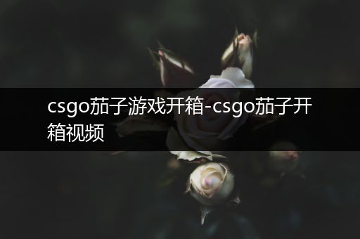 csgo茄子游戏开箱-csgo茄子开箱视频