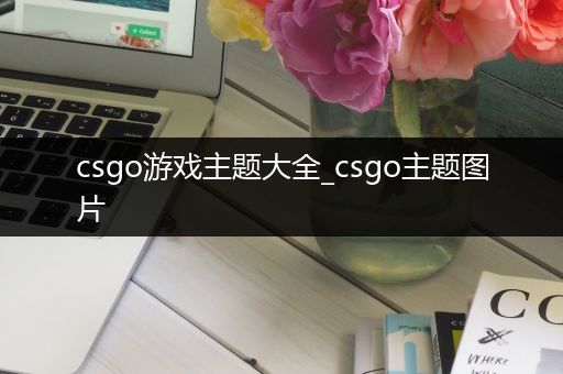 csgo游戏主题大全_csgo主题图片