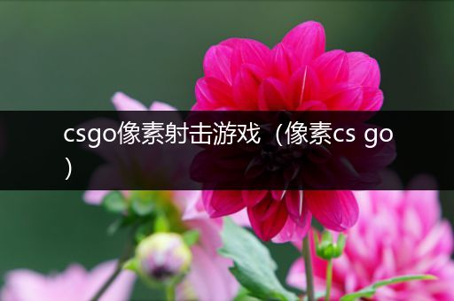 csgo像素射击游戏（像素cs go）